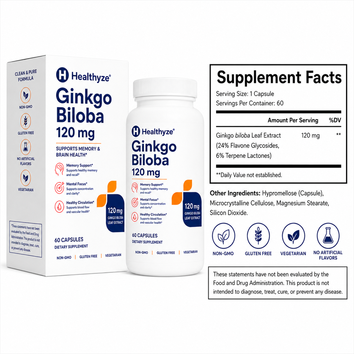 Healthyze Ginkgo Biloba 120 mg