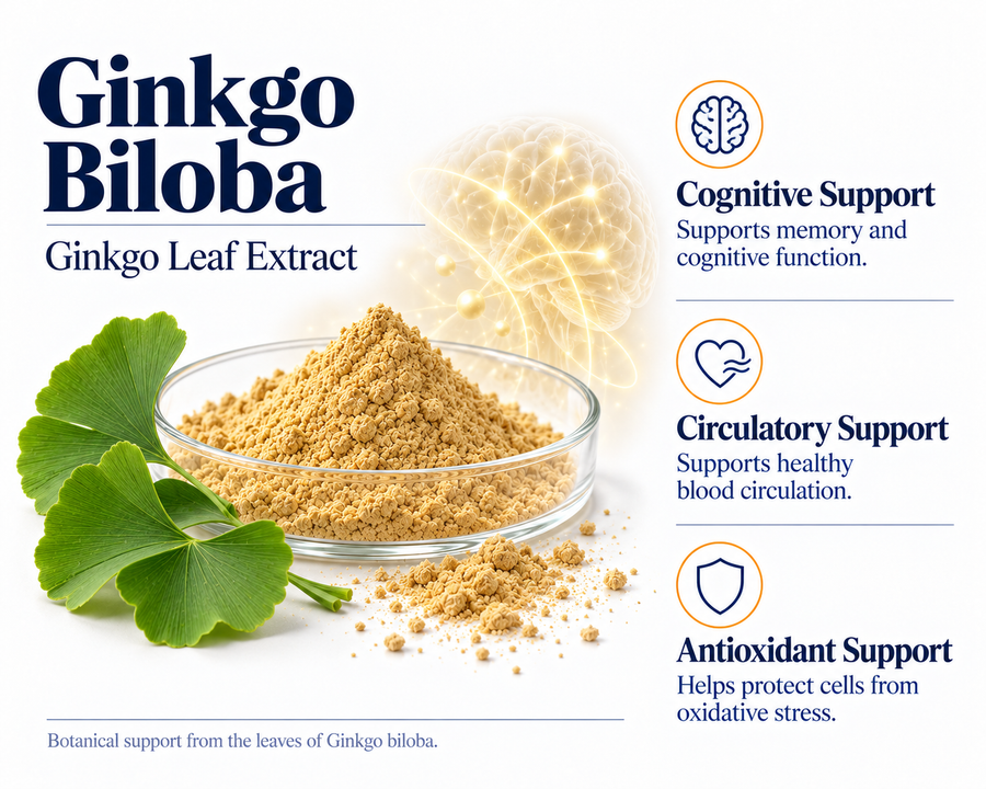 Ginkgo Biloba
